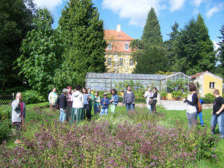 Oprowadzanie odbywa się na terenie pałacu i ogrodu ziołowego. 